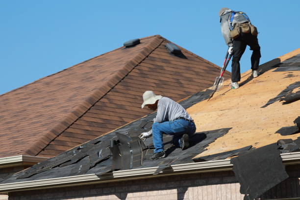 Best Cold Roofs  in Live Oak, FL