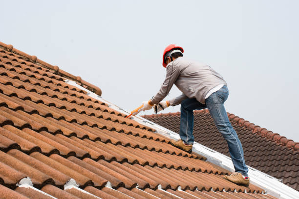 Best Roof Maintenance and Cleaning  in Live Oak, FL